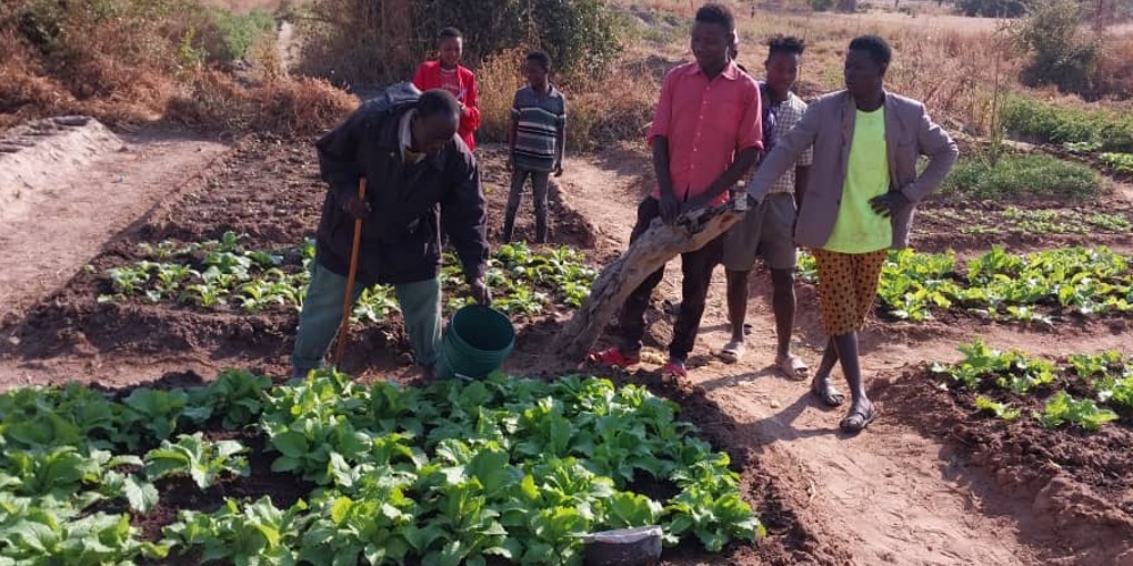 Humekwa - CCMP Agriculture