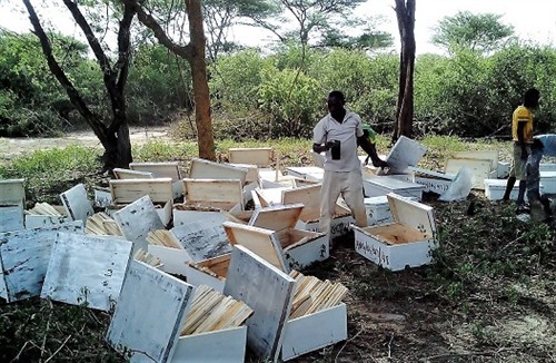 Beehives Smearing beeswax insi
